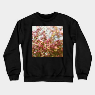 Rainbow Skies Crewneck Sweatshirt